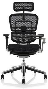 Scaun de birou - ERGOHUMAN2 PDH ULTRA BLACK FRAME W09-01+ALU BASE - precomanda 7-12 zile (Termen de livrare: 7 zile)