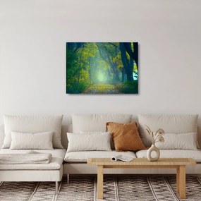 Tablou pe sticlă cu drum dea lungul cu copaci (70x50 cm)