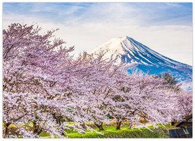 Tablou pe sticlă - Japonia în primăvară (70x50 cm)
