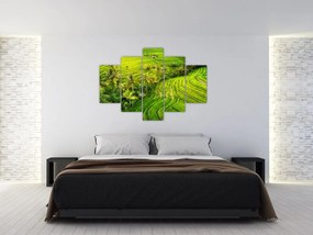 Tablou - Terase de orez (150x105 cm)