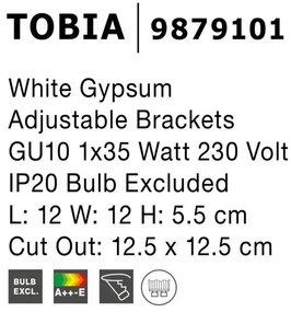 Spot din ghips incastrabil tavan fals TOBIA NVL-9879101