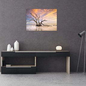 Tablou - Copacul în ocean (70x50 cm)