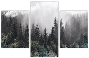 Tablou - Pădure cu elemente ilustrate (90x60 cm)