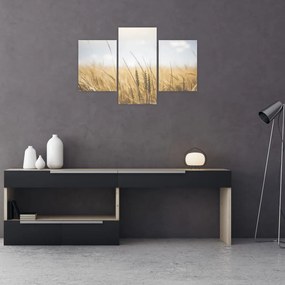 Tablou cu grâne (90x60 cm)