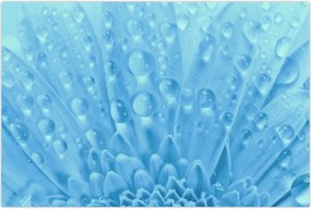 Tablou - Macro împușcat de o floare (90x60 cm)