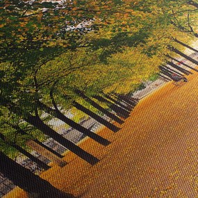 Tablou cu alee cu copaci în toamnă (cu ceas) (90x30 cm)