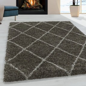 Covor maro 160x230 cm Alvor – Ayyildiz Carpets