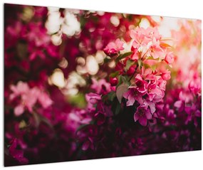 Tablou cu florile tufișului înflorit (90x60 cm)