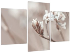 Tablou - Detaliu ramură (90x60 cm)