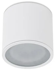 Spot aplicat pentru exterior IP65 ALIX WH