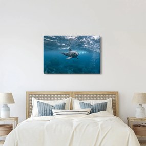 Tablou - Delfin sub apă (90x60 cm)