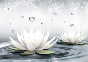 Fototapet - Lotus (152,5x104 cm)
