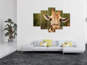 Tablou girafe (150x105 cm)