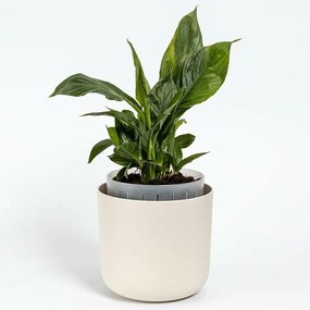 Plastia Ghiveci cu auto-apărare Tolita Air cream,16 cm diametru, diam. 16 cm