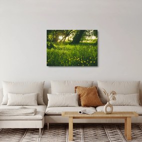 Tablou pe sticlă cu natura - lunca (70x50 cm)