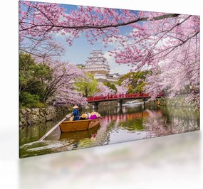 Tablou pe sticlă cu cireș japonez (70x50 cm)