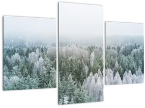 Tablou - Crestele munțillor înzăpezite (90x60 cm)