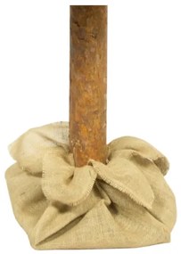 Brad de Crăciun pe trunchi 180 cm, pin