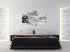 Tablou - Păpădie (150x105 cm)