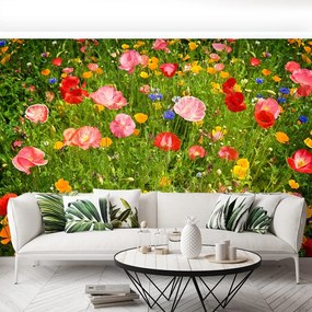 Fototapet Flori Meadow