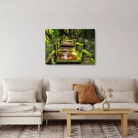 Tablou pe sticlă cu scări într-o pădure tropicală (70x50 cm)