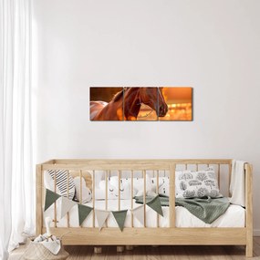Tablou - Cal în apus de soare (cu ceas) (90x30 cm)