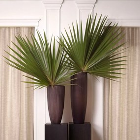 Vaza, Vas decorativ LUX din sticla Isandro XL