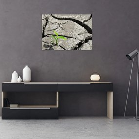 Tablou - Fisuri (70x50 cm)