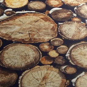 Tablou - Lemn în zăpadă (120x50 cm)