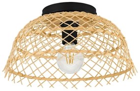 Plafonieră AUSNBY 1xE27/40W/230V Eglo 43831