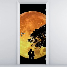 Fototapet pentru ușă - Umbre la lumina lunii (95x205cm)