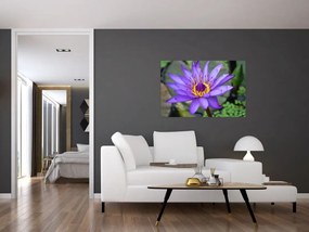 Tablou - Floare violet (90x60 cm)