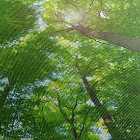 Tablou - Lunca (120x50 cm)