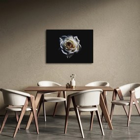 Tablou cu trandafir alb (70x50 cm)