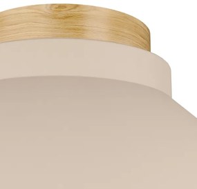 Plafonieră Eglo 900736 MOHARRAS 1xE27/40W/230V