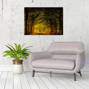 Tablou pe sticlă cu pădure (70x50 cm)