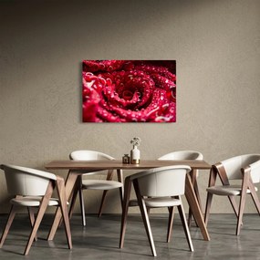 Tablou cu floarea trandafirului roșu (90x60 cm)