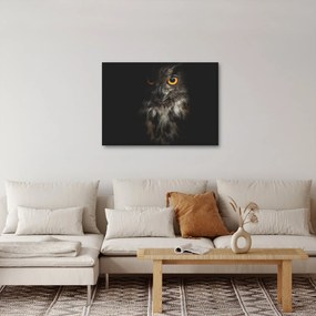 Tablou cu bufnița (70x50 cm)