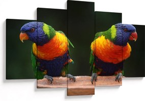 Tablou cu papagali (150x105 cm)