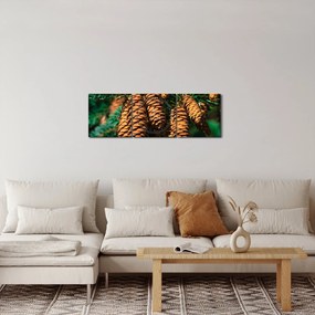 Tablou cu con de brad (cu ceas) (90x30 cm)