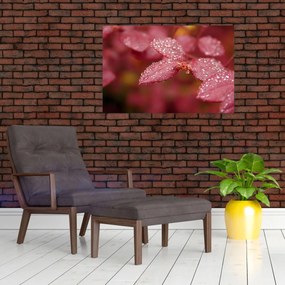 Tablou - Imagine macro a biletului (90x60 cm)