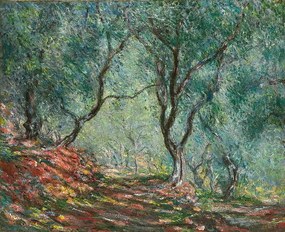 Reproducere Olive Trees in the Moreno Garden; Bois d'oliviers au jardin Moreno, Monet, Claude