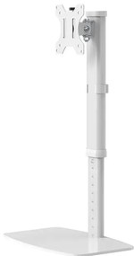 Suport dublu mon. birou NM 10"-30" 6 kg