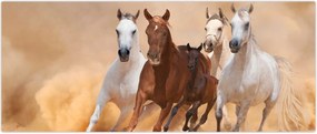 Tablou - Herghelie de cai (120x50 cm)