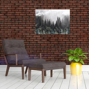 Tablou - Pădure cu elemente ilustrate (70x50 cm)