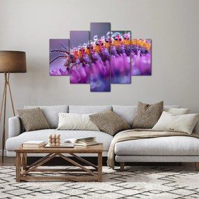 Tablou - Caterpillar (150x105 cm)
