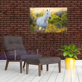 Tablou - Cal alb în poină (90x60 cm)