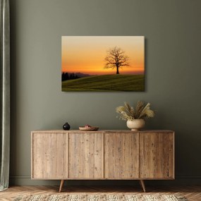 Tablou cu apus de soare pe o luncă (90x60 cm)