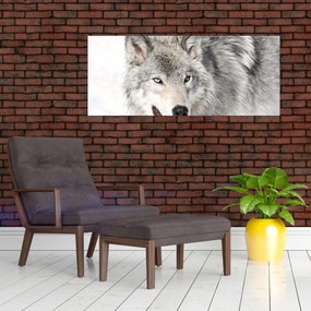 Tablou - Lupul în natură (120x50 cm)