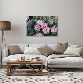Tablou floare de cactus (90x60 cm)